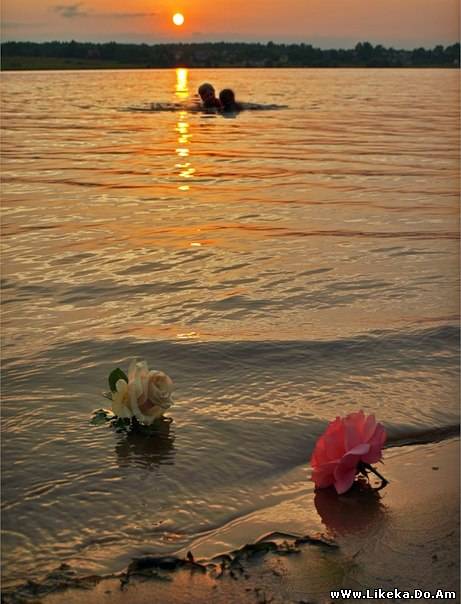 Шымкенттегі жезөкшелер сайты